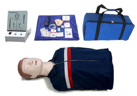HL/CPR230 Half Body CPR Training Manikin
