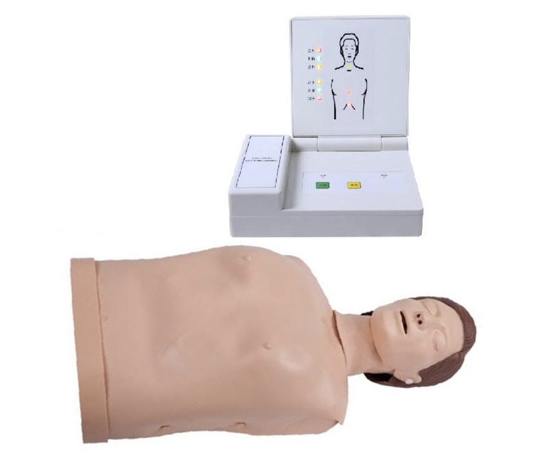 HL/CPR15200 Half Body CPR Training Manikin