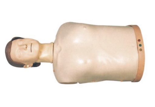 HL/CPR188 Half Body CPR Training Manikin