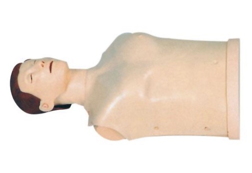HL/CPR187 Half Body CPR Training Manikin