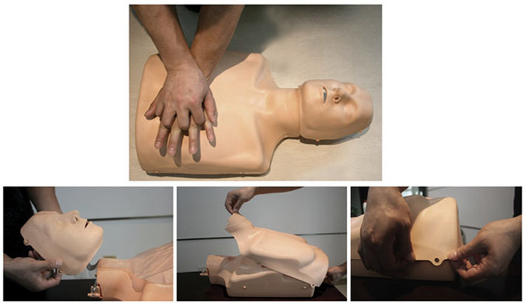 HL/CPR185+ Adjustable Adults & Children CPR Manikin(alarm)