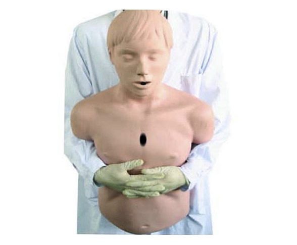 HL/CPR155 Adult Obstruction Model