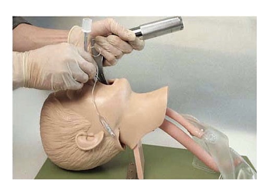 HL/1A Child Trachea Intubation Model