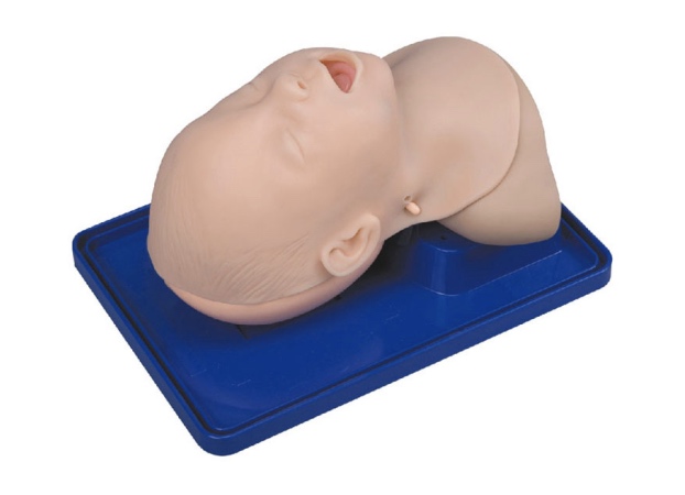 HL/3A Infant Trachea Intubation Model