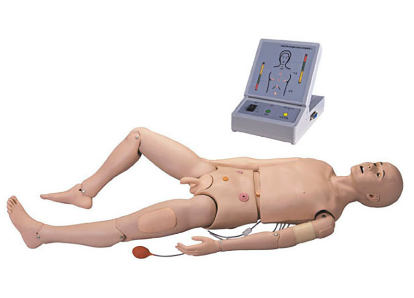 HL/3000 Advanced Adult Nursing and CPR Manikin