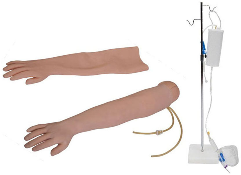 HL/S2 Venipuncture & Intramuscular Injection Arm Model