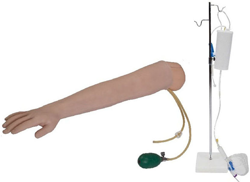 HL/S3 Arm Artery Puncture & Intramuscular Injection Training Model