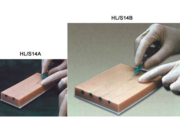 HL/S14A/B Forearm Venipuncture Module
