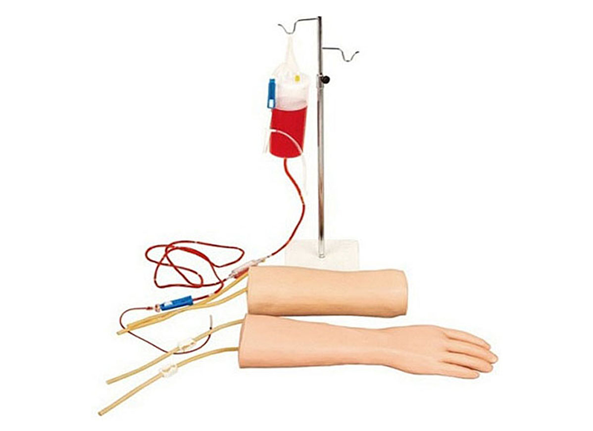 HL/S18 Hand and Elbow Combined Intravenous Transfusion Training Arm