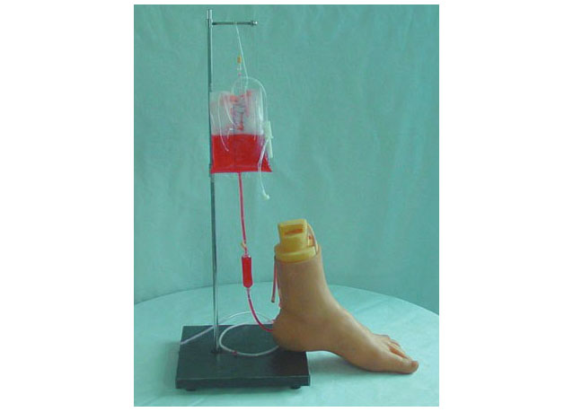 HL/Z8 Foot Vein Injection Model
