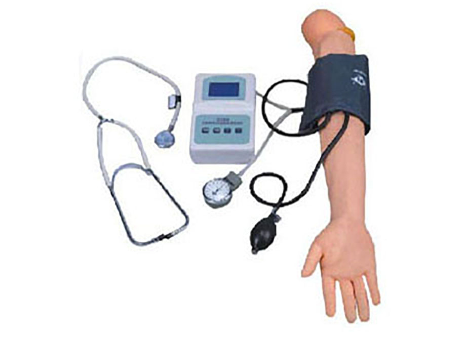 HL/S7G Blood Pressure Training Arm Model