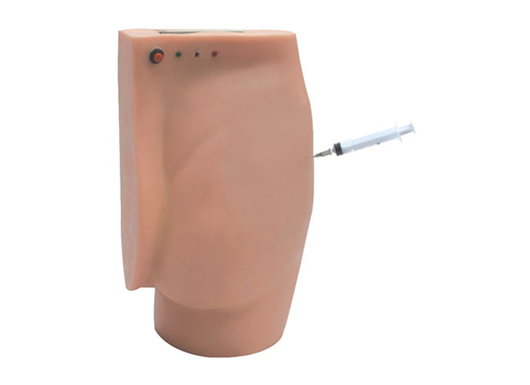 HL/TB Electronic Buttocks Injection Training Model