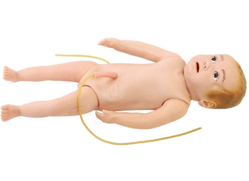 HL/HS9 Infant Full Body Venipuncture Model