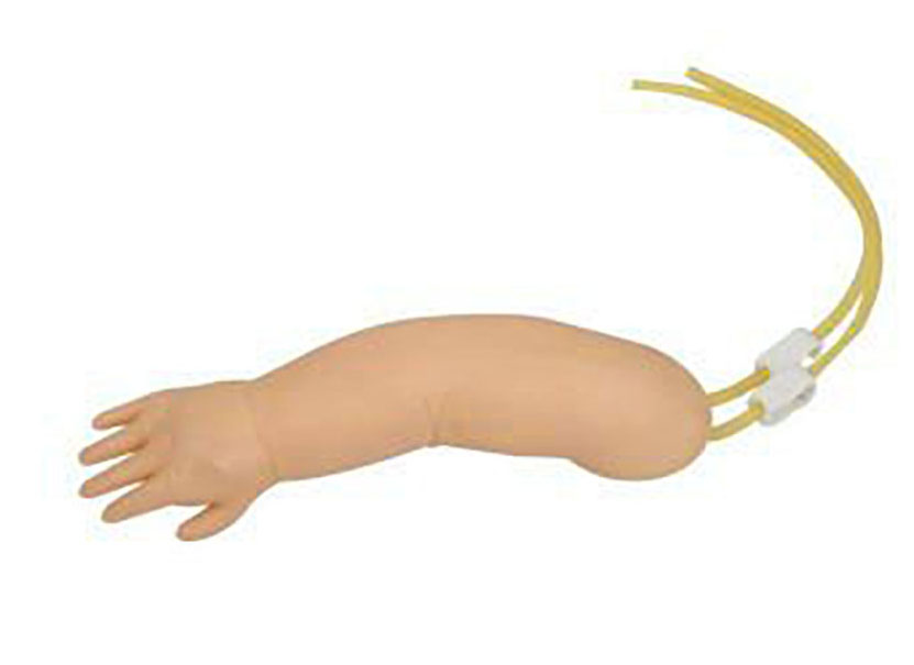HL/S15 Infant Vein Injection Arm Model