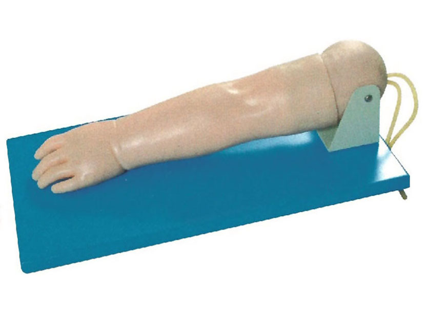 HL/S32 Advanced pediatric venipuncture arm