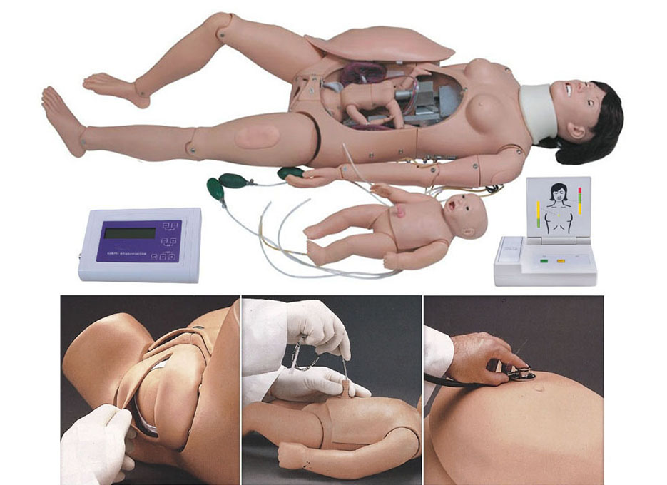 HL/F55 Delivery and Maternal and Neonatal Emergency Simulator
