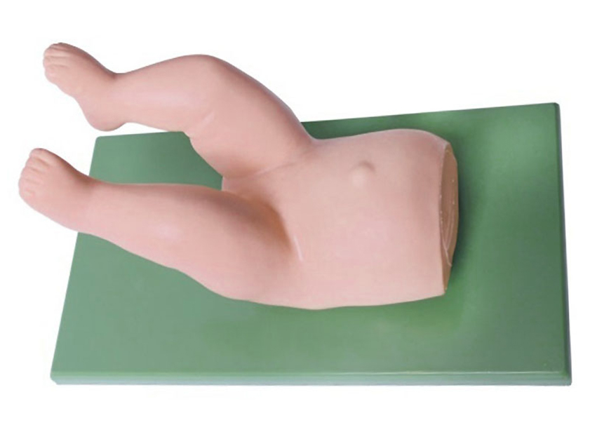 HL/L65C Infant Hip Joint Dislocation Curing Model