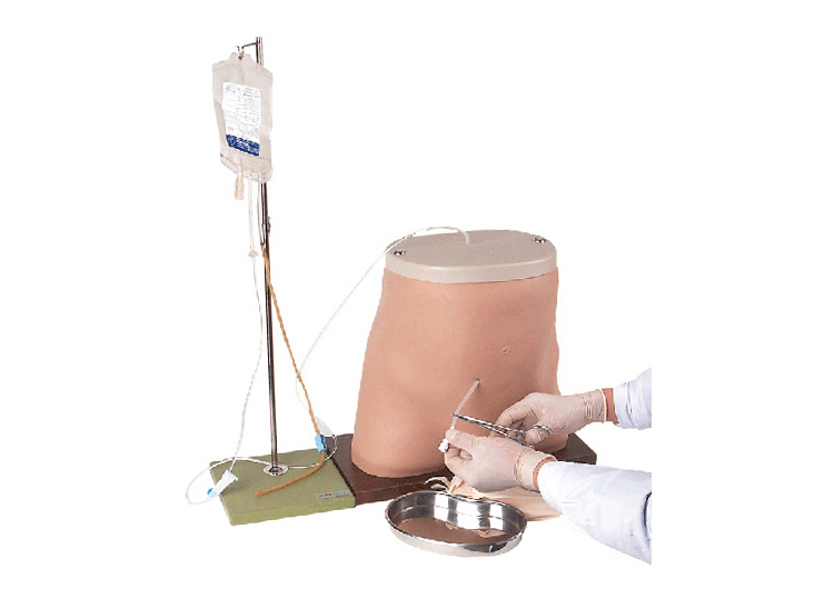 HL/F1 Peritoneal Dialysis Model