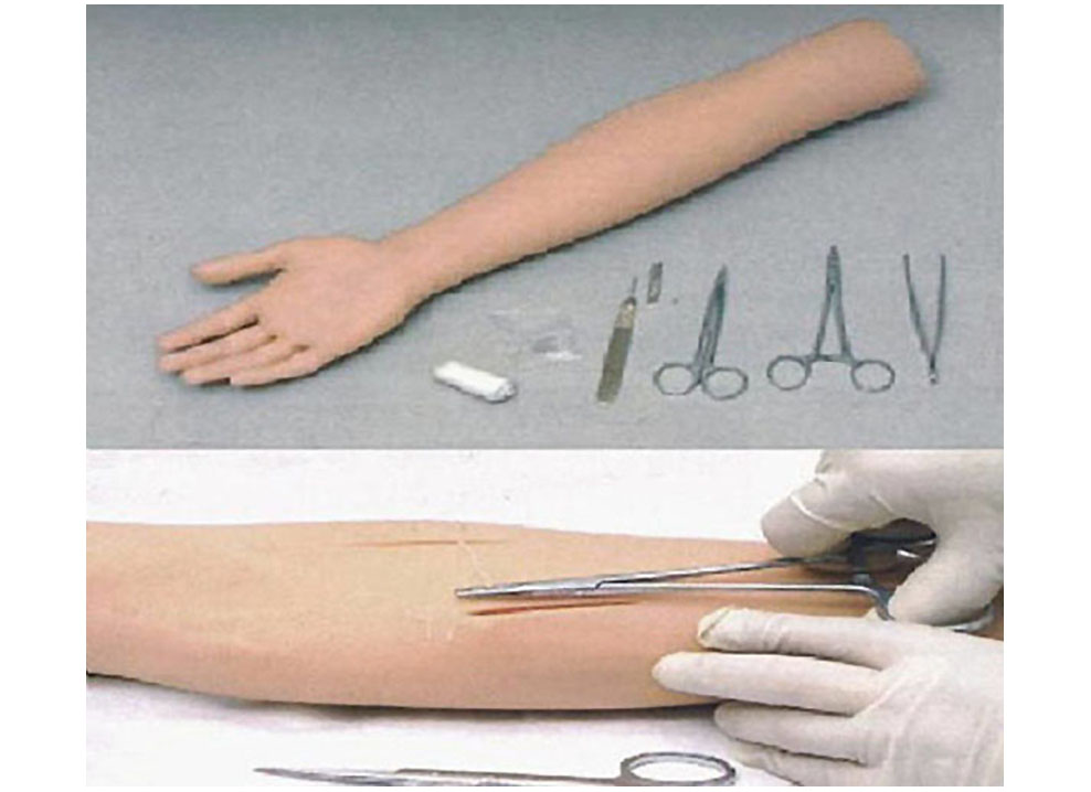 HL/FS Surgical Suture Arm Model