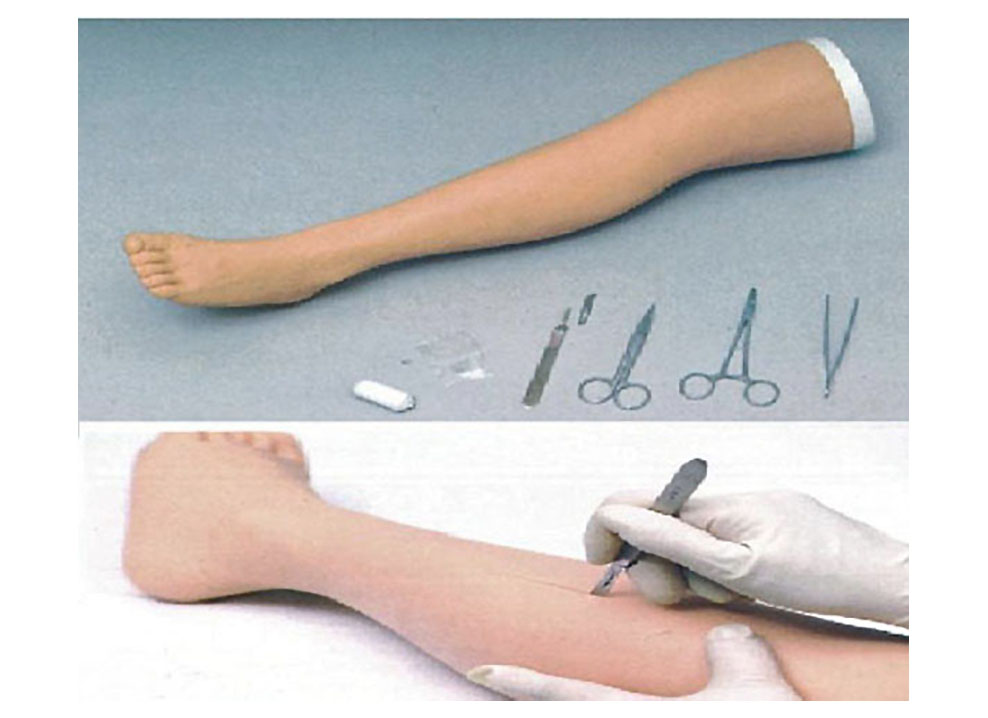 HL/FT Surgical Suture Leg Model