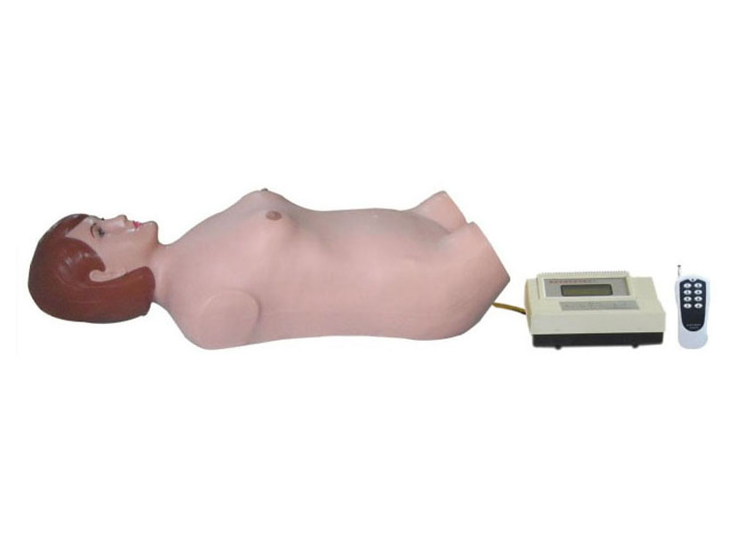 HL/FB Digital Remote Controlled Cardiopulmonary Auscultation Mankin(Male or Female)